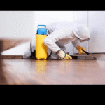 How to Choose the Right Pest Products in Broadway That Really Work