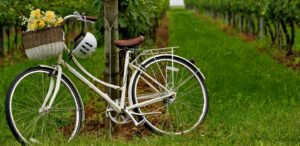 Hire Poshmark & Bookkeeping Virtual Assistants | Expert eCommerce & Accounting VAs