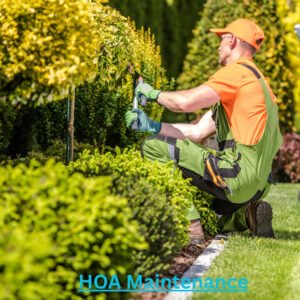 5 Cost-Saving Strategies for Efficient HOA Maintenance Programs