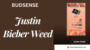 Justin Bieber Weed & Digital Menus: The New Era of Cannabis Culture