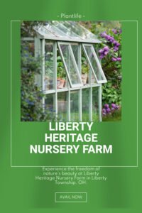 High-Quality Driveways and Walkways Services Guide