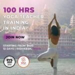 100 Hour Yoga Teacher Training in Rishikesh: A Transformative Start to Your Yogic Journey