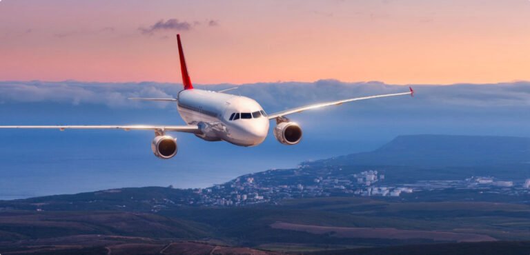 Affordable Travel Accompanied by Flighta