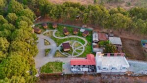 Best-Rated Netarhat Hotels for Scenic Views and Cozy Stays