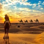 Rajasthan Tour Package – Discover the Royal Charm of India with Trip Mapper