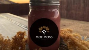 Organic Irish Sea Moss: Nature’s Secret to Health, Energy & Radiant Skin