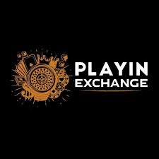 How to Withdraw Winnings from Playinexch Safely and Quickly
