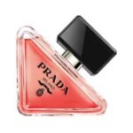 Elevate Your Everyday: Discover Signature Scents & Black Friday Luxury