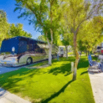 Exploring the Best of Coastal Florida: Discover the Ultimate RV Park in Steinhatchee, FL