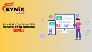 Revolutionize Your Business with Professional Web App Development Service