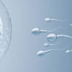 Best IVF Clinic | IVF treatment | Hyderabad | Gachibowli – Dr Sravya Buggana