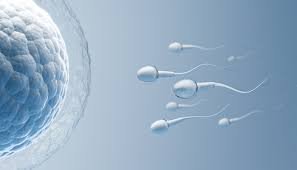 Best IVF Clinic | IVF treatment | Hyderabad | Gachibowli – Dr Sravya Buggana