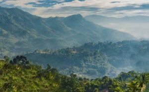 Netarhat Tourism: A Paradise for Peace Seekers