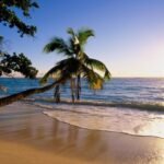 The Growing Market for Wellness-Oriented Properties in Bali