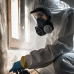 Miami Mold Abatement Companies | Fast & Reliable Experts.