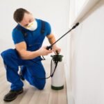 House and Pest Inspections Coolum Beach