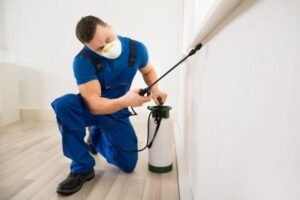 House and Pest Inspections Coolum Beach