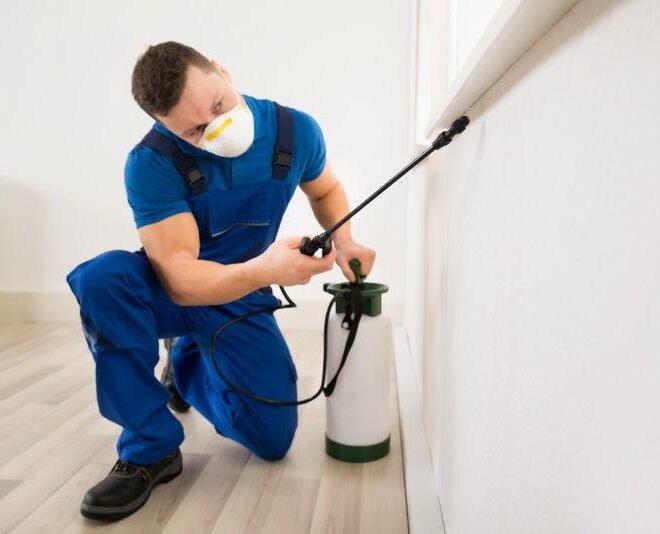 House and Pest Inspections Coolum Beach