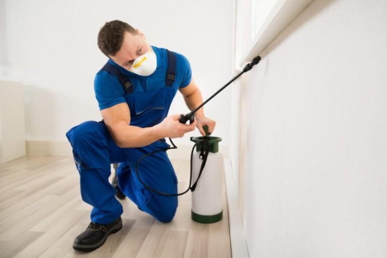 House and Pest Inspections Coolum Beach