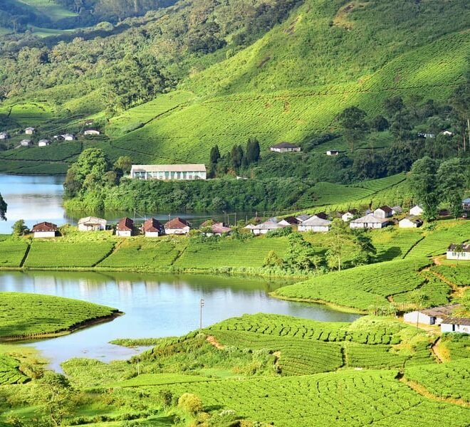 Cab Service in Munnar | Munnar Taxi Service