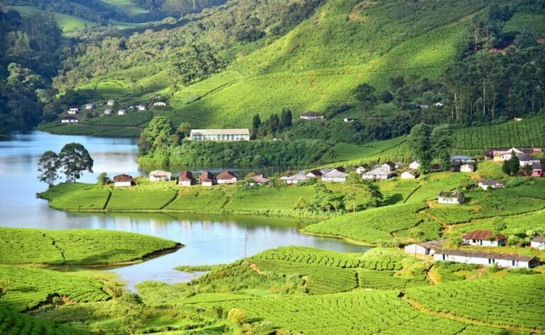 Cab Service in Munnar | Munnar Taxi Service