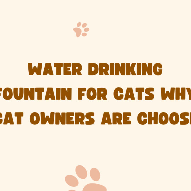 Water Drinking Fountain for Cats Why Cat Owners Are Choose?