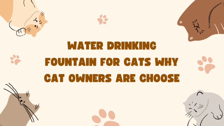 Water Drinking Fountain for Cats Why Cat Owners Are Choose?