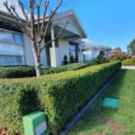 Yard and Lawn Maintenance