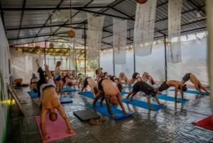 Experience Advanced Learning Through a 500 Hour Yoga Course in Goa