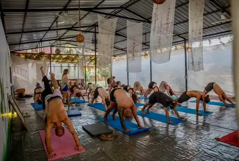 Experience Advanced Learning Through a 500 Hour Yoga Course in Goa