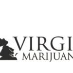 Understanding Medical Marijuana Card Access in Virginia