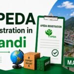 APEDA Registration in Mandi: Complete Guide 2026