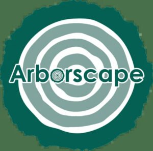 Tree Surgeon Cumbria – Professional Tree Care Services by Arborscape