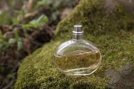 What Fragrance Notes Work Best in Perfumes for Men?