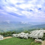 Places to See Near Kedarnath by Road with CabBazar