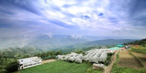 Places to See Near Kedarnath by Road with CabBazar