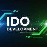 The Beginner’s Guide to IDOs: Benefits, Risks, and Process Explained