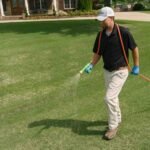 Saginaw Homeowners Are Switching to This Lawn Care Service – Here’s Why