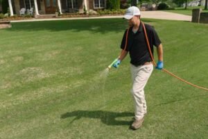 Saginaw Homeowners Are Switching to This Lawn Care Service – Here’s Why