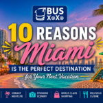 Miami Is the Perfect Destination for Your Next Vacation- Top 10 Reasons