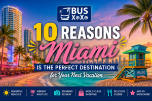 Miami Is the Perfect Destination for Your Next Vacation- Top 10 Reasons