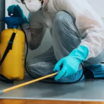 Pest Control Lahore | Professional Pest Control Services for Homes & Businesses