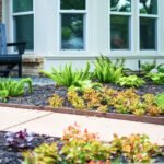 Landscaping Services in Dallas TX: Creating Outdoor Spaces That Add Beauty and Value