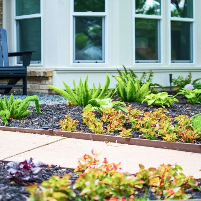 Landscaping Services in Dallas TX: Creating Outdoor Spaces That Add Beauty and Value