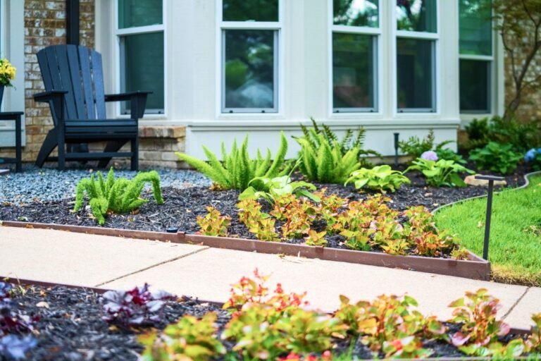 Landscaping Services in Dallas TX: Creating Outdoor Spaces That Add Beauty and Value