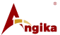 Boost Your Online Presence with SEO Services- Angika Technologies