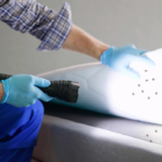 Difference Between Early Detection and Complete Bed Bug Removal