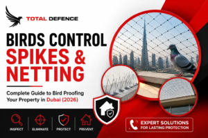 Bird Control Spikes & Netting Dubai: Complete Guide to Bird Proofing Your Property (2026)