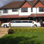 Limo Birthday Party: A Stylish Way to Celebrate Special Moments