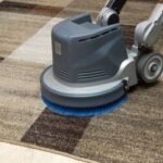 Carpet Cleaning Services Supporting Homes That Value Clean Flooring
